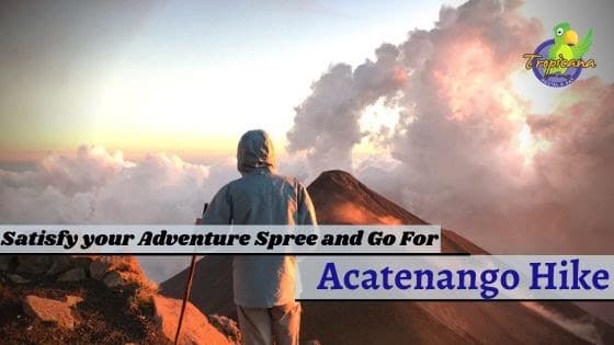Satisfy your Adventure Spree and Go For Acatenango Hiking