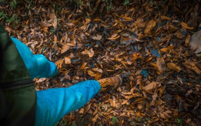 The Beauty of Guatemala: A Journey Through the Best Hikes