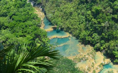 A Journey to Crystal Clear Waters: Discovering Semuc Champey