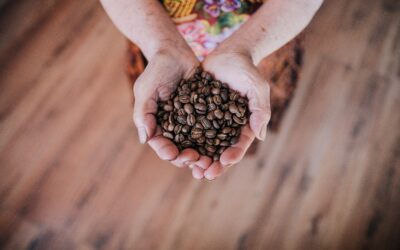 From Bean to Cup: Guatemalan Coffee Farm Tour and the Art of Coffee Processing