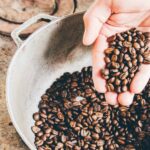 guatemala coffee