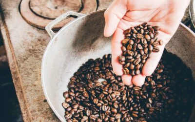 Is a Coffee Tour in Antigua Guatemala Worth It? What Travelers Should Know Before Booking