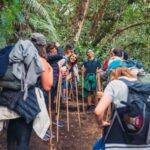 guided tours guatemala