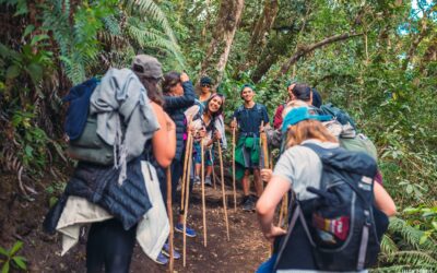 Unlocking Guatemala’s Beauty: The Essential Role of Guided Tours