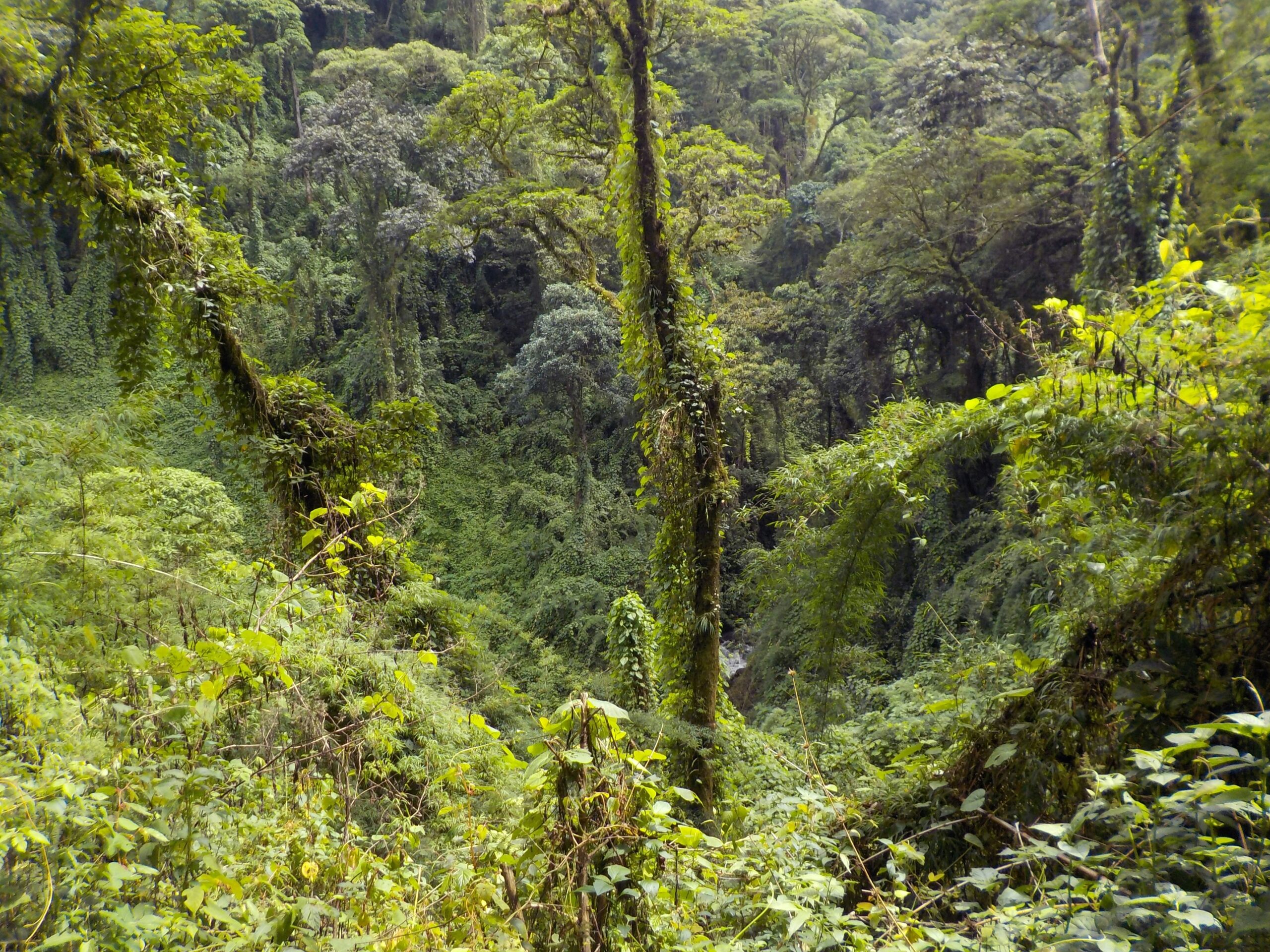 guatemala rainy season