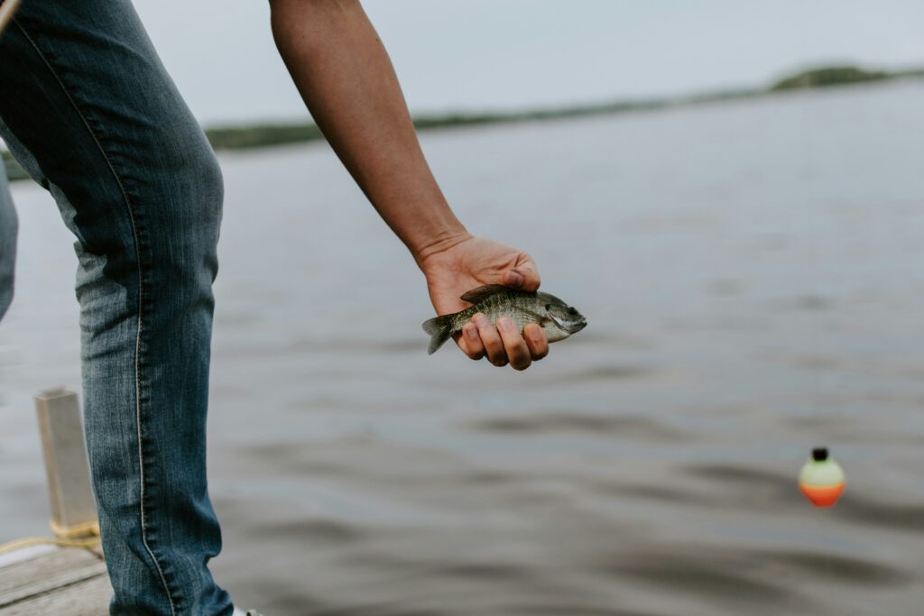 Freshwater Guatemala fishing