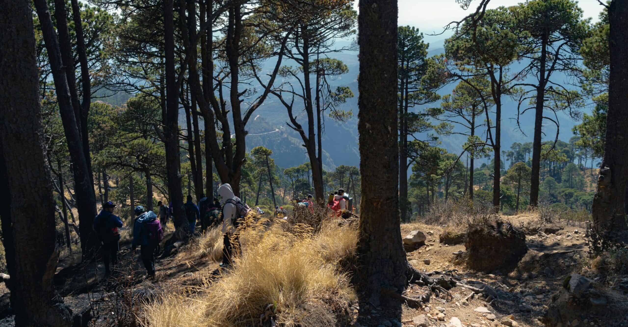 volcanoes to hike in guatemala