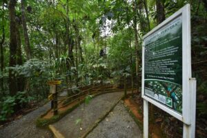 Biotopo del Quetzal Trails