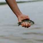 fishing in guatemala