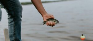 fishing in guatemala