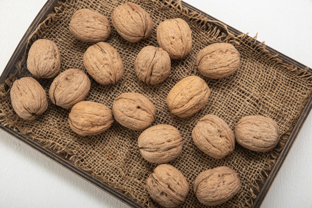 macadamia nut farm tour guatemala