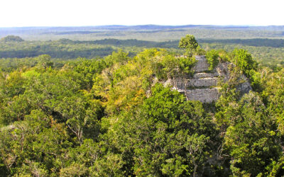 The Ultimate Guide to El Mirador, Guatemala