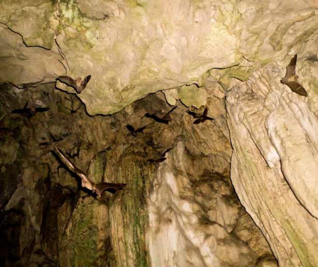 Semuc Champey caves in Guatemala