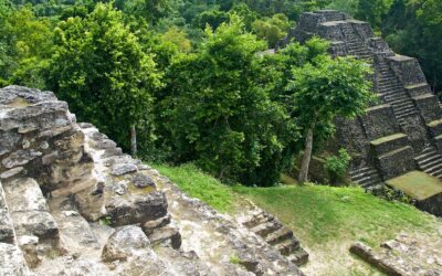 Yaxha vs. Tikal: Which Mayan Site Should You Visit in Guatemala?