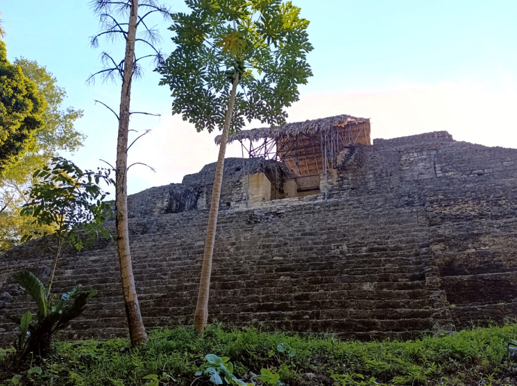 Naranjo Guatemala​