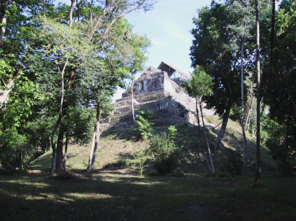 Naranjo Guatemala​