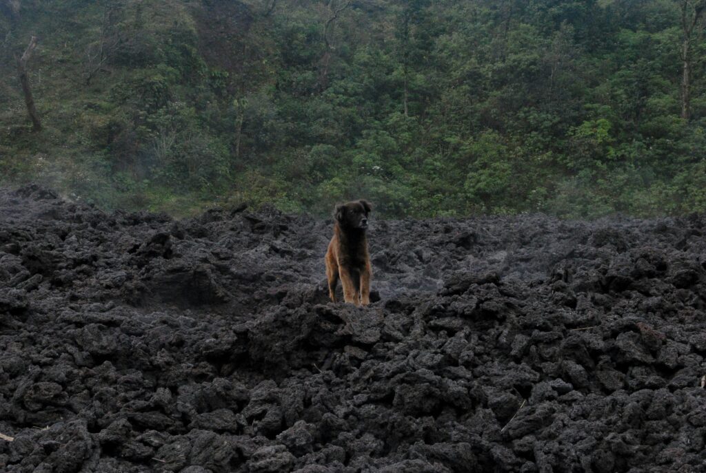 Pacaya Hike in Guatemala