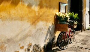 antigua guatemala activities​