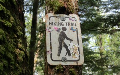 Environmental Tips: Climbing Acatenango Responsibly With Leave No Trace Practices