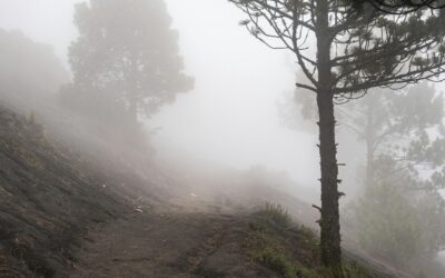 Acatenango Hike Distance: How Long It Takes for Beginners and Why It Feels Hard