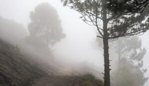 acatenango temperature