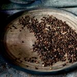 Coffee Tour Antigua Guatemala