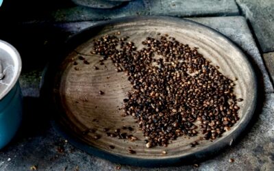 Coffee Tour Antigua Guatemala: Best Time to Visit, Top Coffee Farms, and What to Expect 
